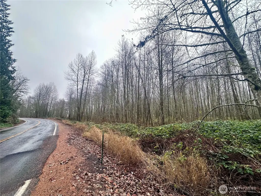 1230 Silverbrook Road White Pass WA 98937
