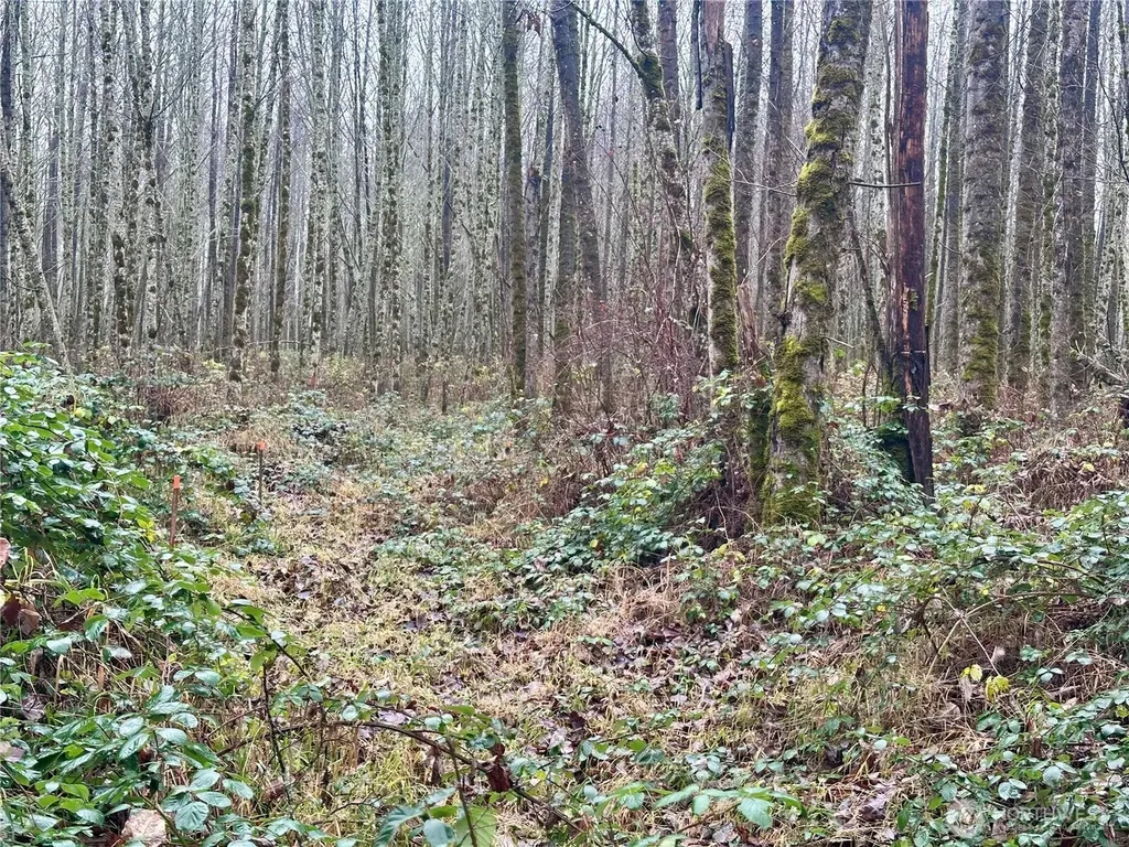 1230 Silverbrook Road White Pass WA 98937
