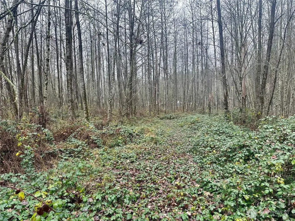 1230 Silverbrook Road White Pass WA 98937
