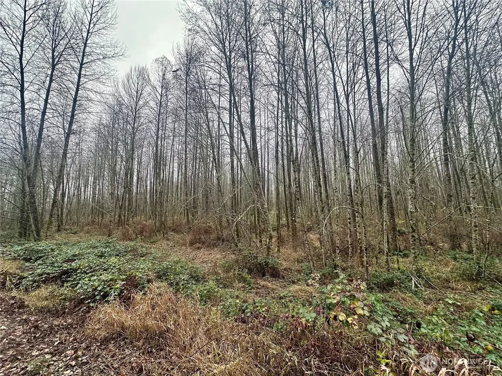 1230 Silverbrook Road White Pass WA 98937