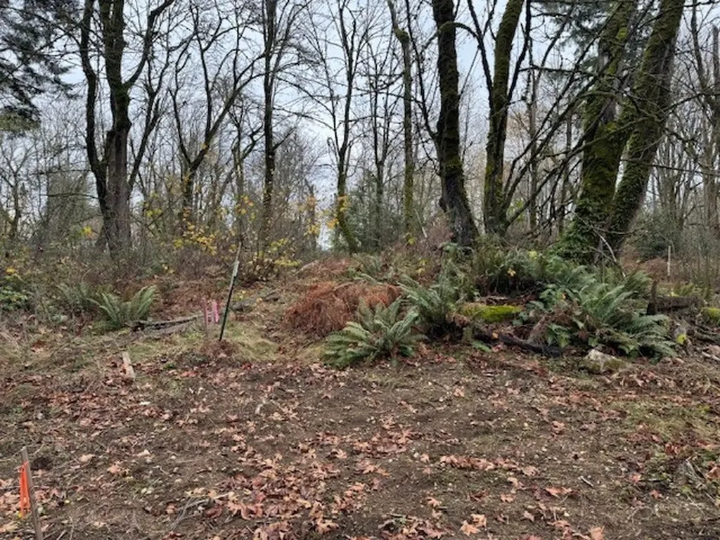 36836 52nd Avenue S Auburn WA 98001