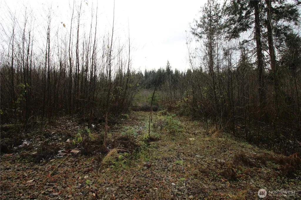 0 364th Avenue SE Maple Valley WA 98038