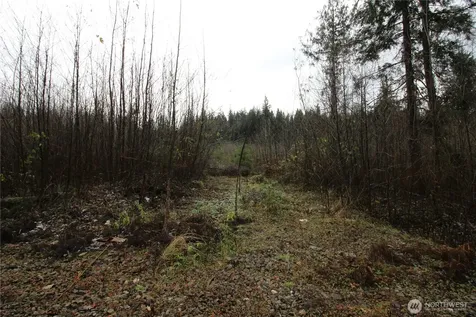 0 364th Avenue SE Maple Valley WA 98038