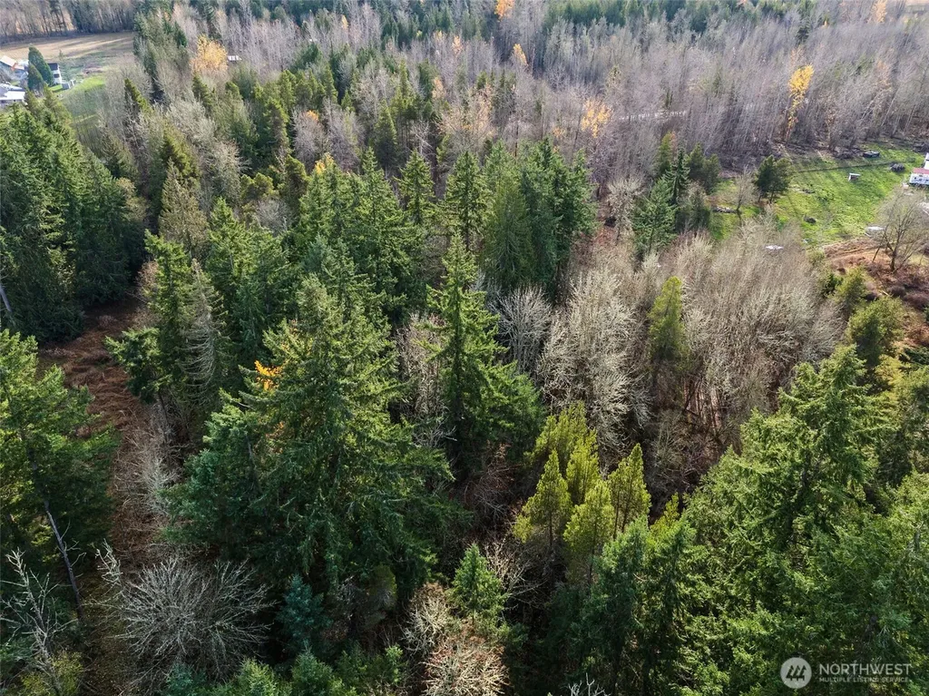 15718 153rd Avenue SE Yelm WA 98597