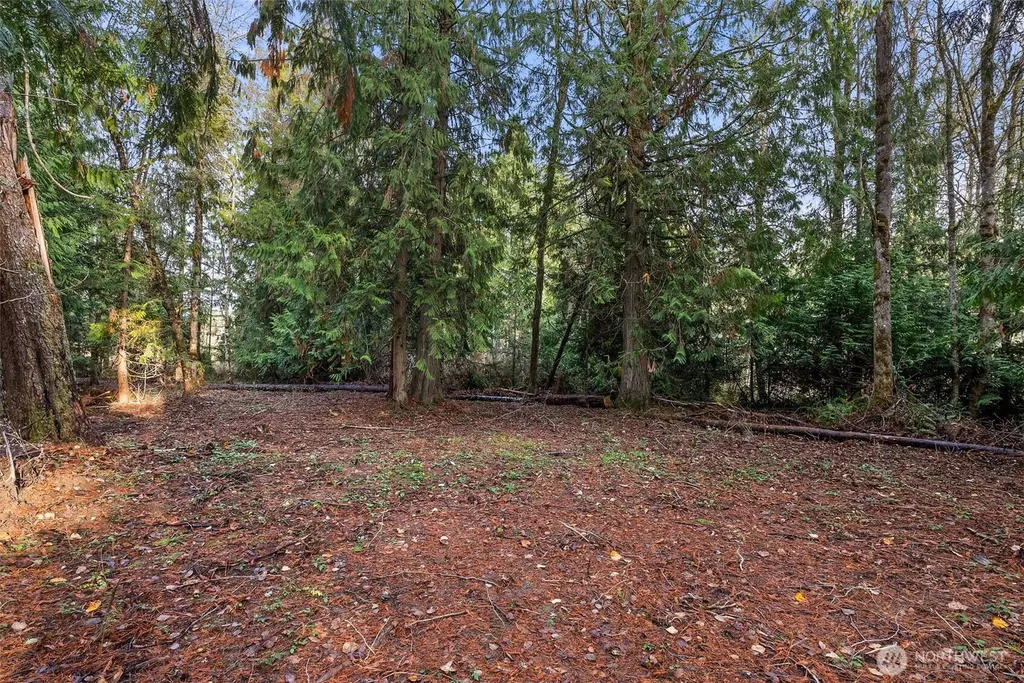 15718 153rd Avenue SE Yelm WA 98597