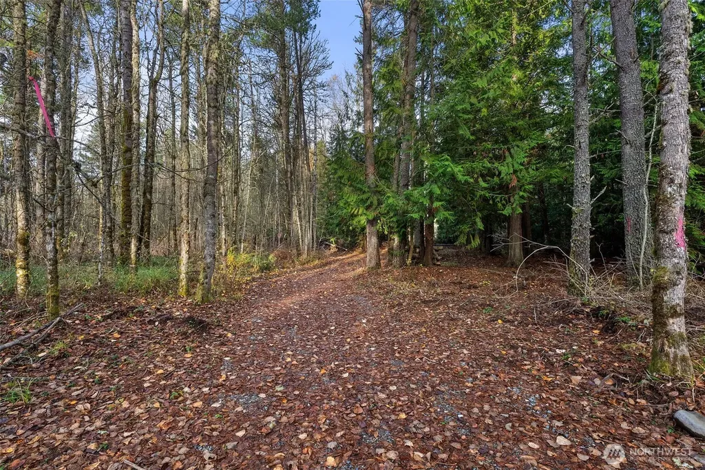 15718 153rd Avenue SE Yelm WA 98597