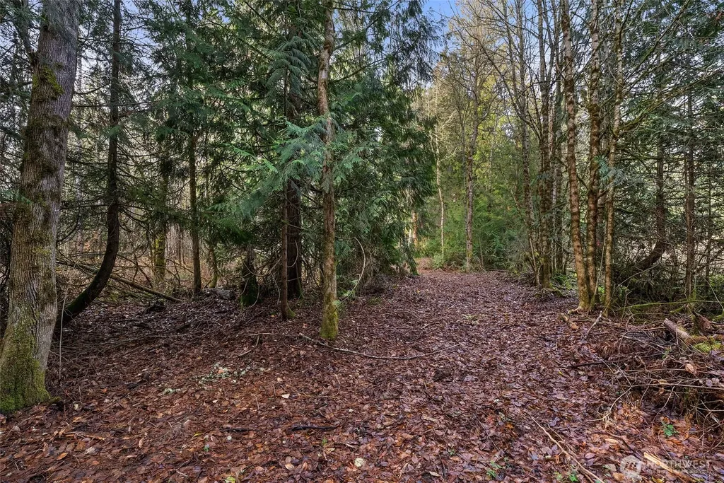 15718 153rd Avenue SE Yelm WA 98597