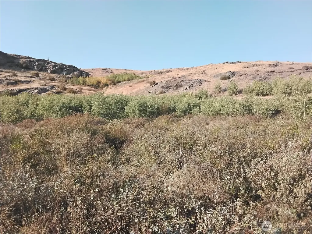 1 Painted Rock Road Tonasket WA 98855