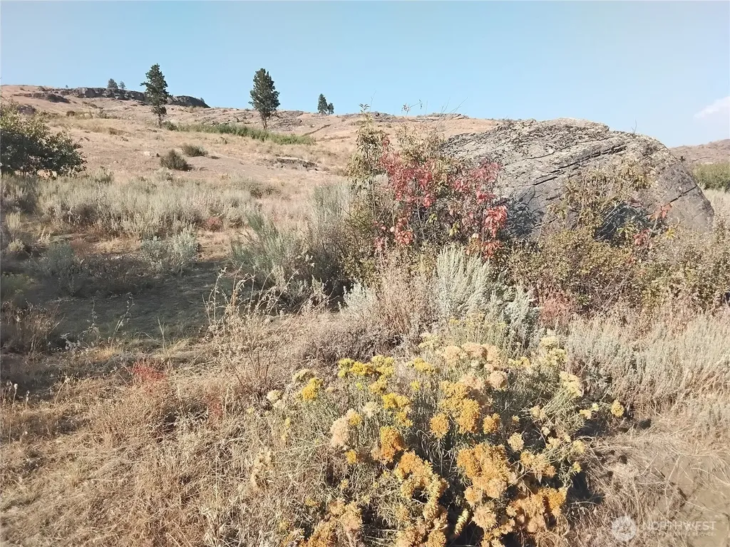 4 Painted Rock Road Tonasket WA 98855