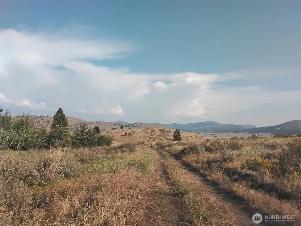 5 Painted Rock Road Tonasket WA 98855