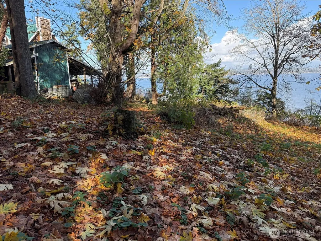 43 Beach Way Hat Island WA 98206