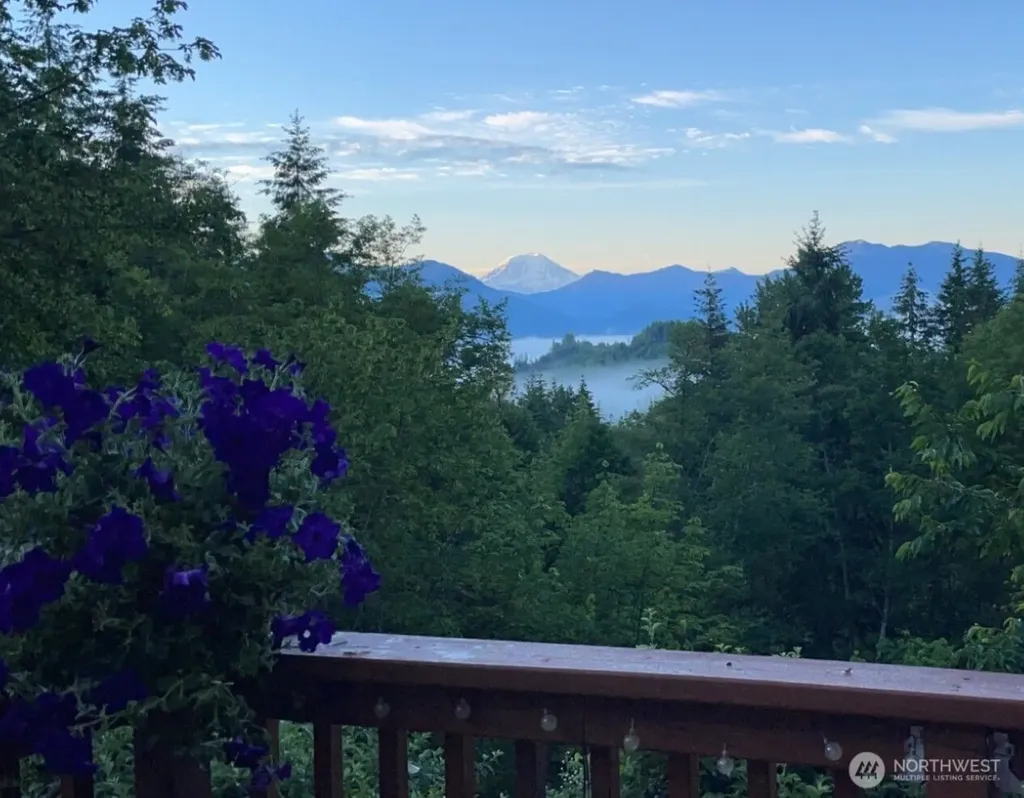 289 Long And Winding Road Randle WA 98377