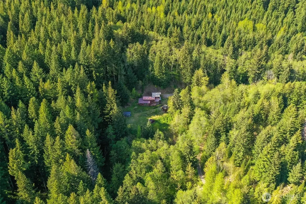 289 Long And Winding Road Randle WA 98377