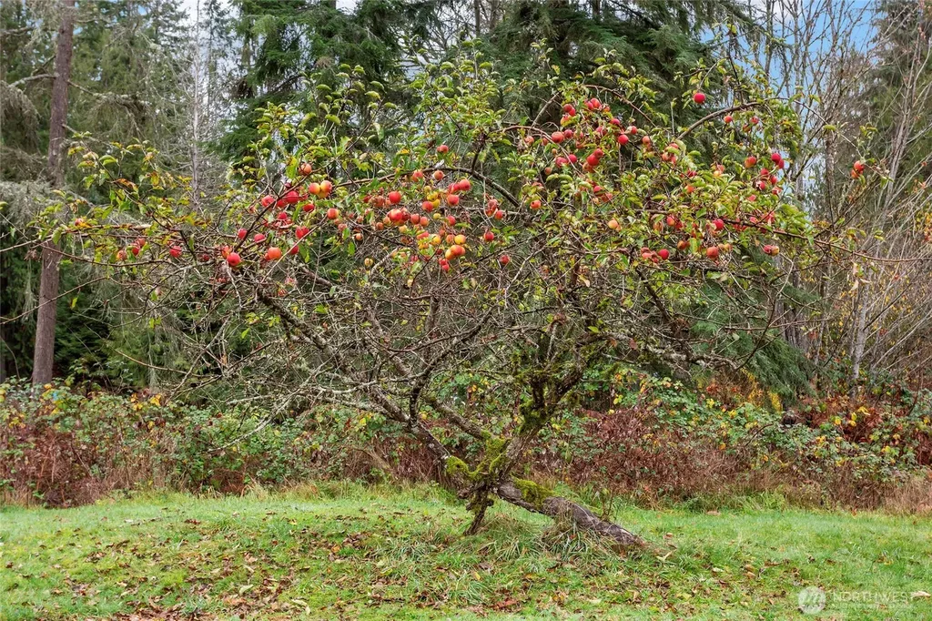 12321 155th Avenue NE Arlington WA 98223