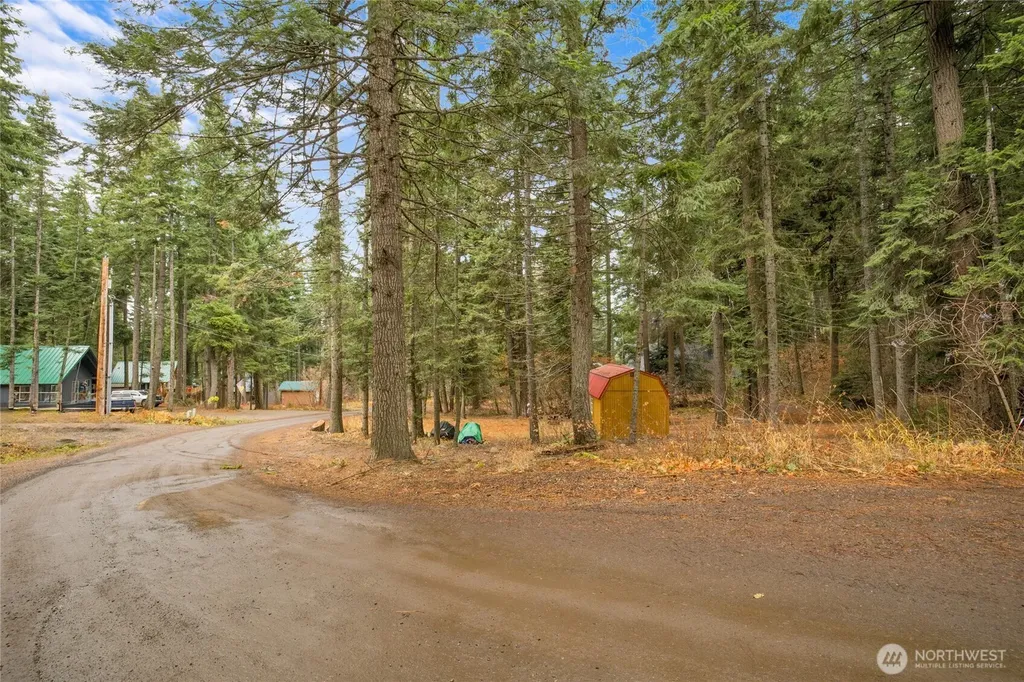 1211 Pine Loch Sun Drive Ronald WA 98940