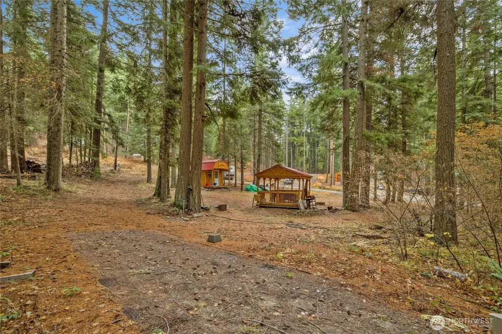 1211 Pine Loch Sun Drive Ronald WA 98940