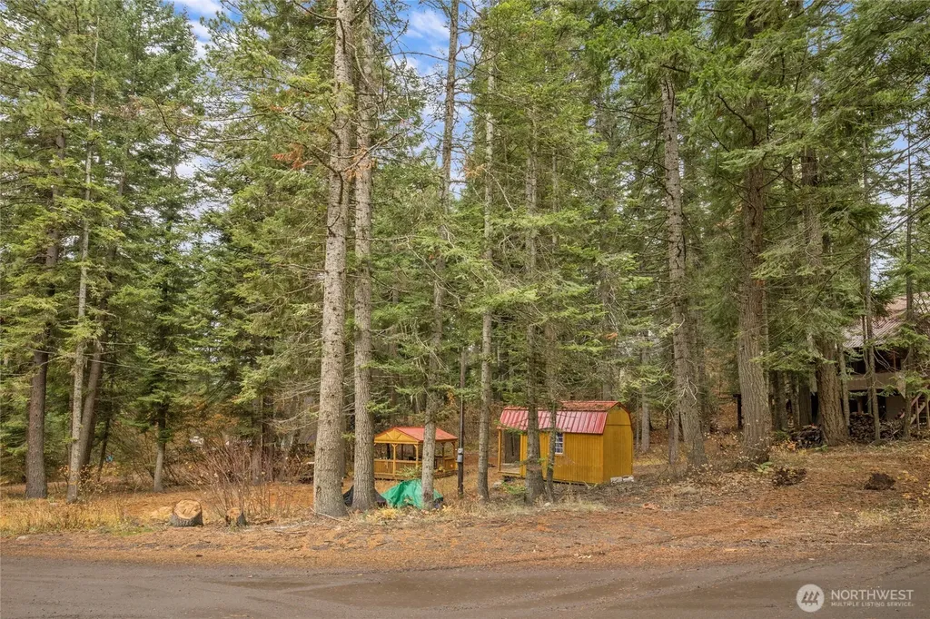 1211 Pine Loch Sun Drive Ronald WA 98940