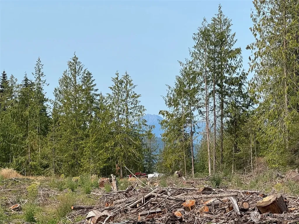 319 W Reservoir Road Sequim WA 98382