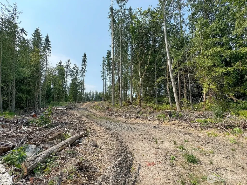 319 W Reservoir Road Sequim WA 98382