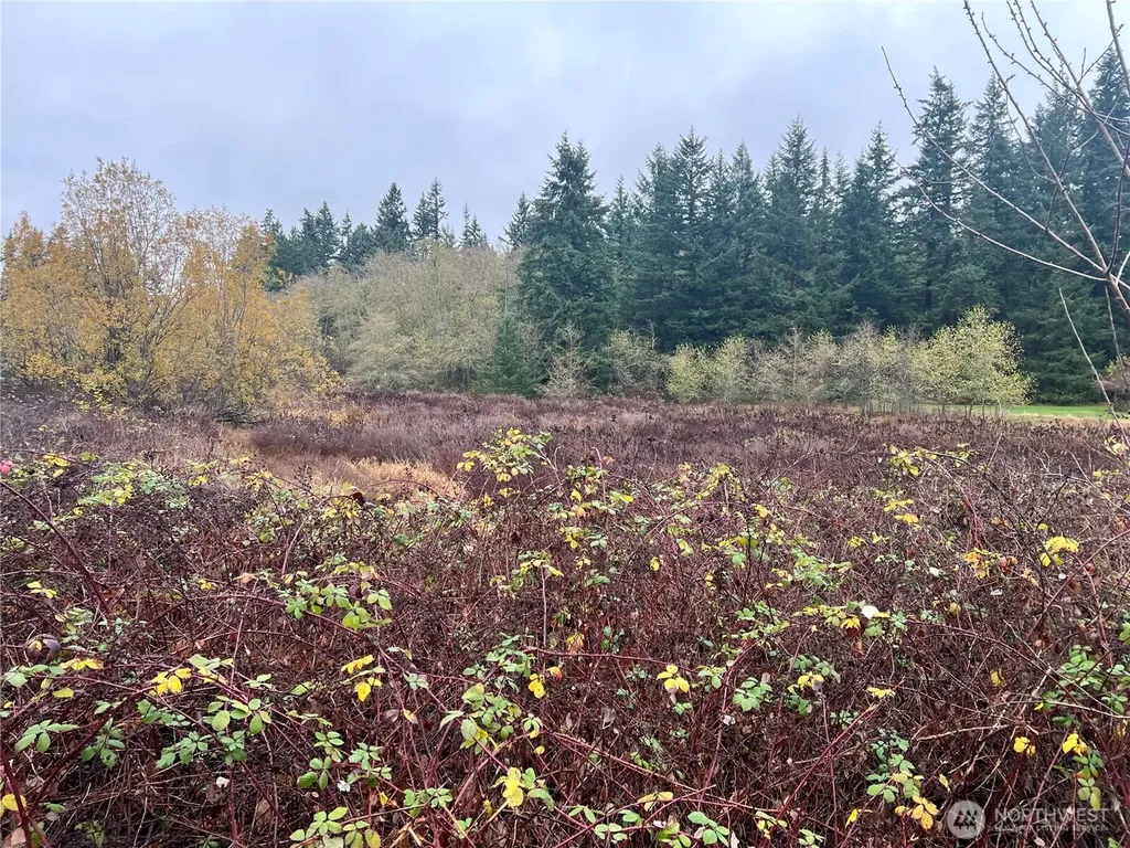 0 Rollinghill Road Clinton WA 98236