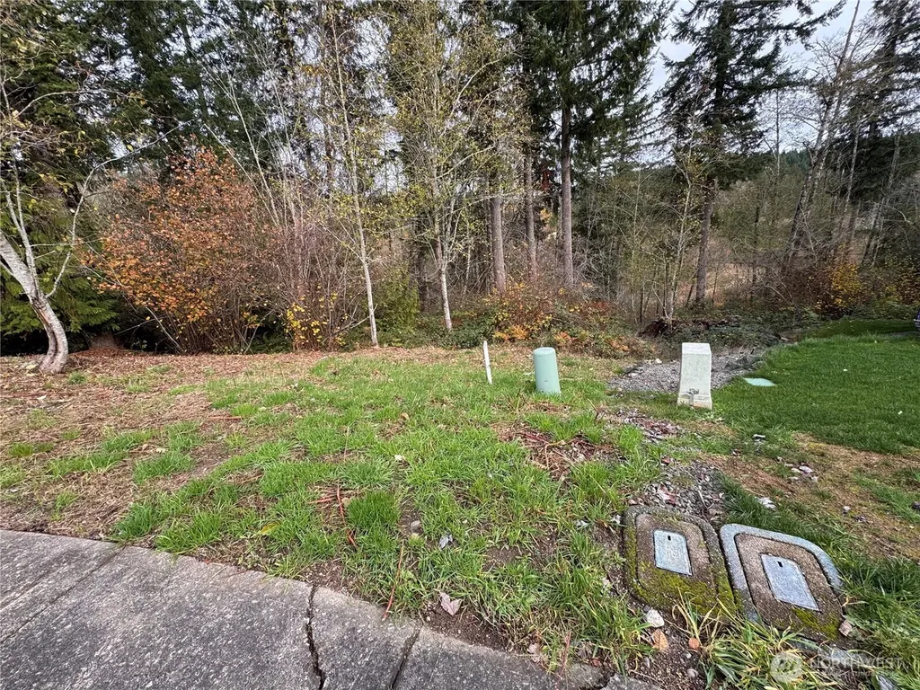 1618 Maple Valley Drive Centralia WA 98531