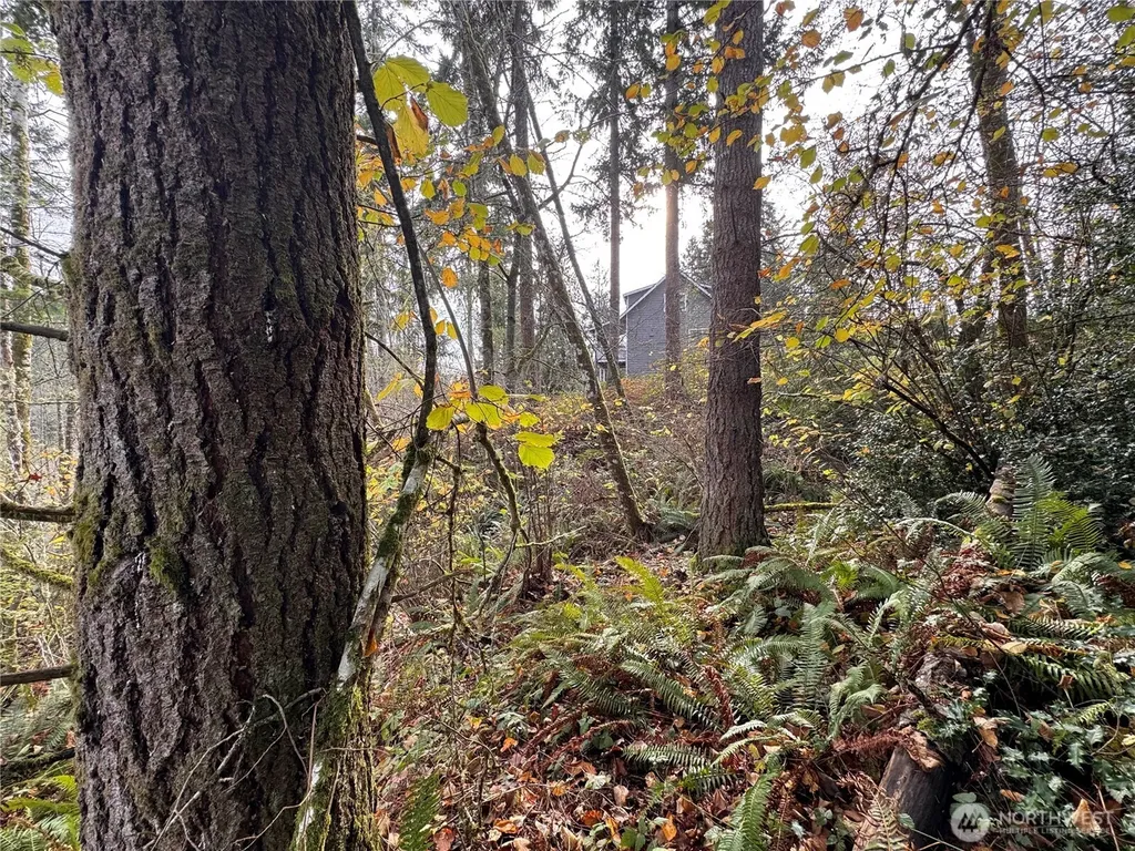 1618 Maple Valley Drive Centralia WA 98531
