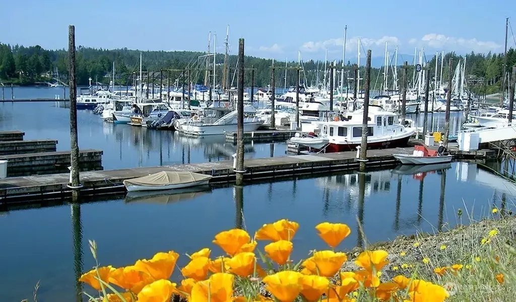 31 Mccartney Peak Lane Port Ludlow WA 98365