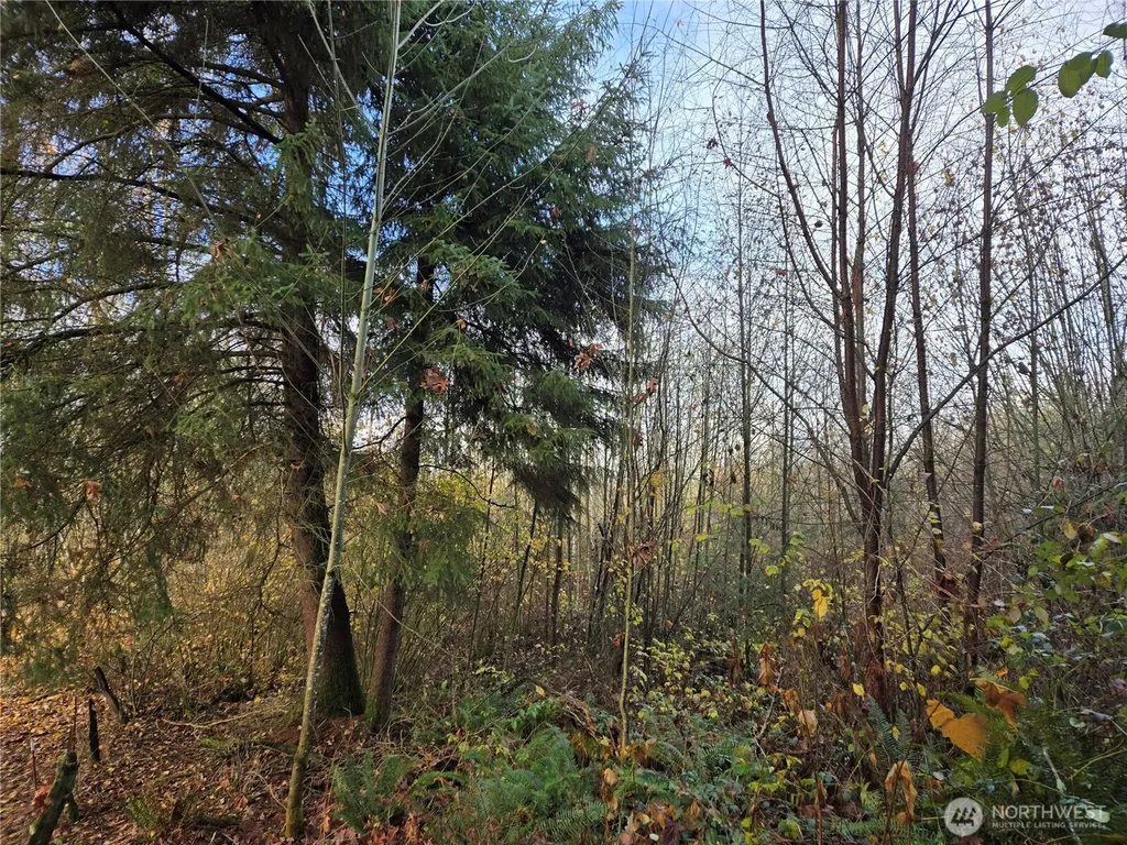 388 191st Avenue SE Auburn WA 98092