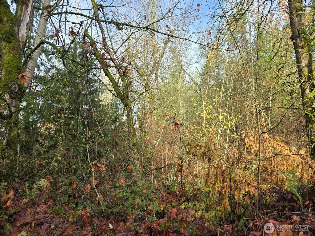 388 191st Avenue SE Auburn WA 98092