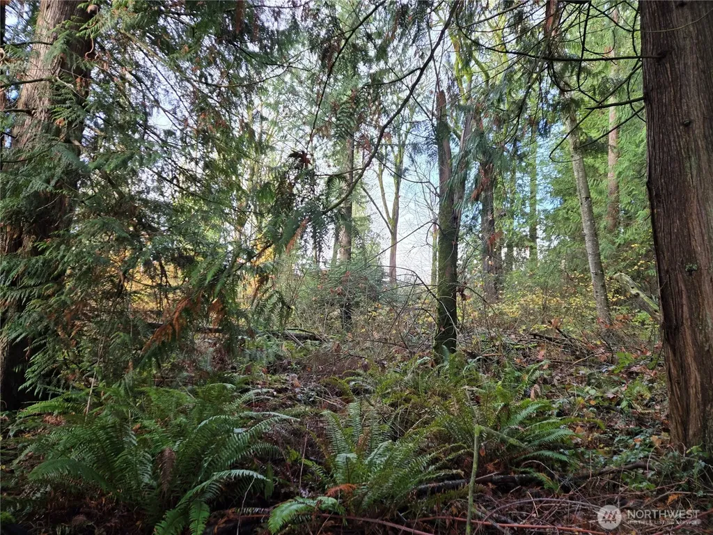 388 191st Avenue SE Auburn WA 98092
