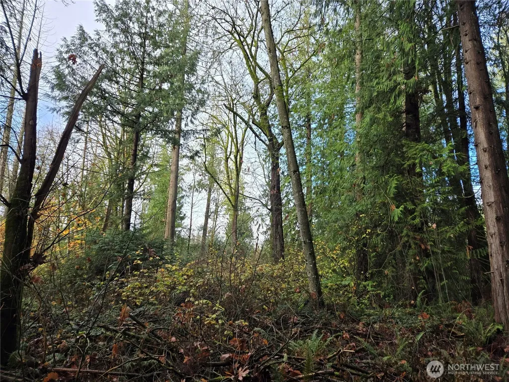 388 191st Avenue SE Auburn WA 98092
