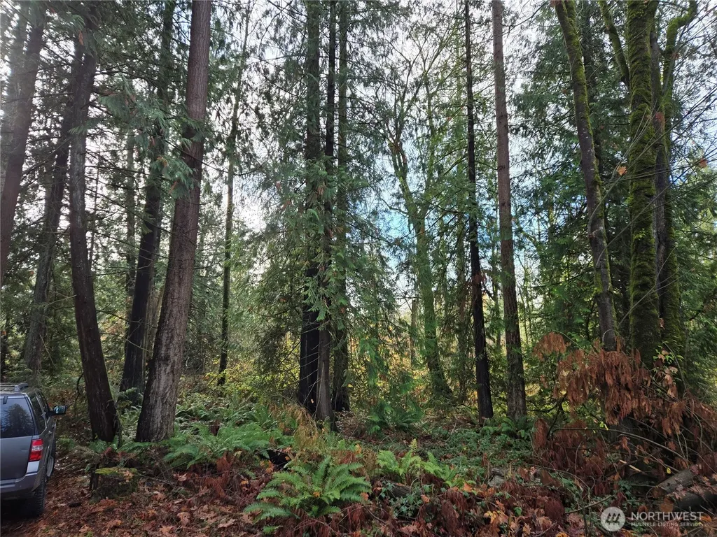 388 191st Avenue SE Auburn WA 98092