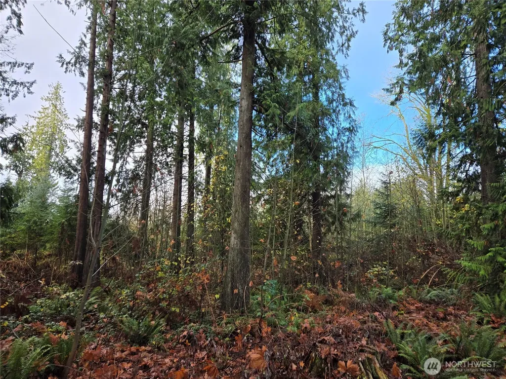 388 191st Avenue SE Auburn WA 98092