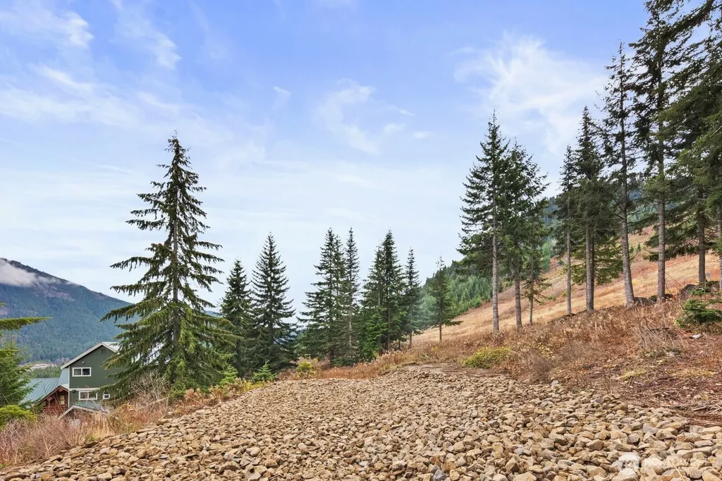 321 Innsbruck Drive Snoqualmie Pass WA 98068