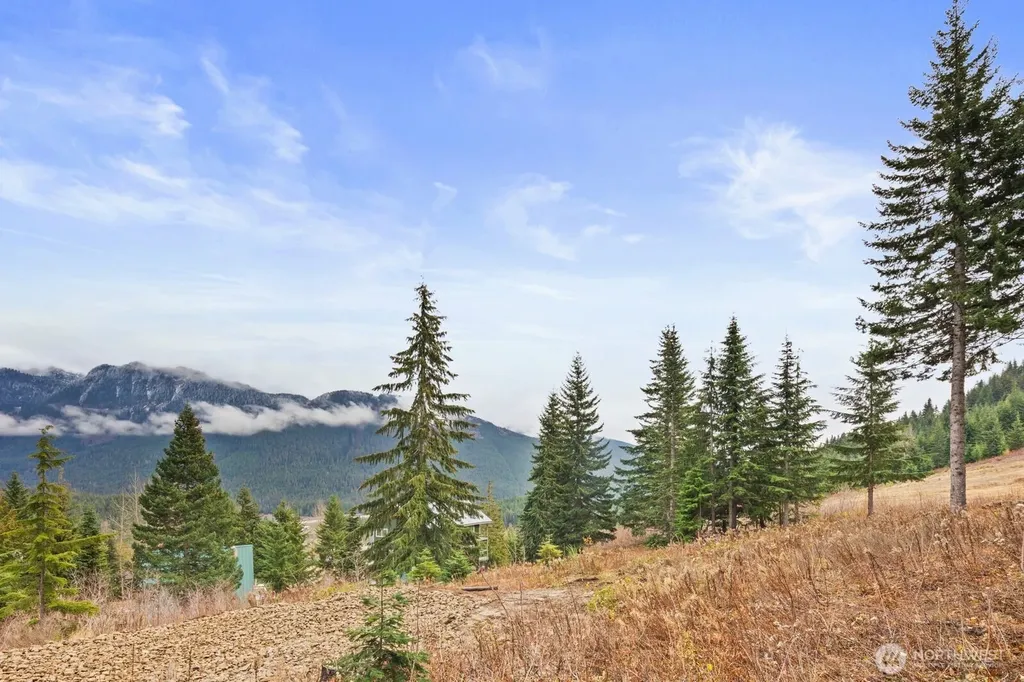 321 Innsbruck Drive Snoqualmie Pass WA 98068