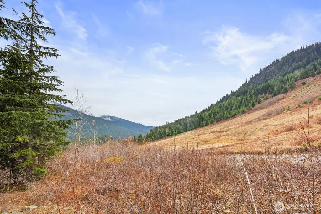 321 Innsbruck Drive Snoqualmie Pass WA 98068
