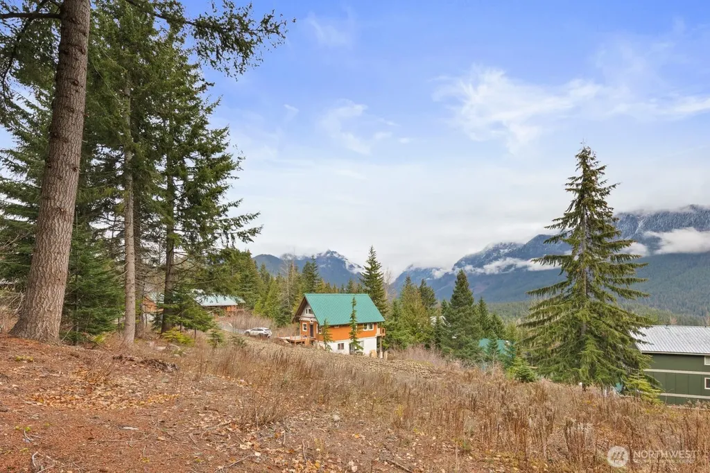 321 Innsbruck Drive Snoqualmie Pass WA 98068