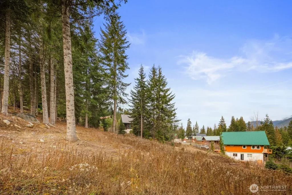 321 Innsbruck Drive Snoqualmie Pass WA 98068