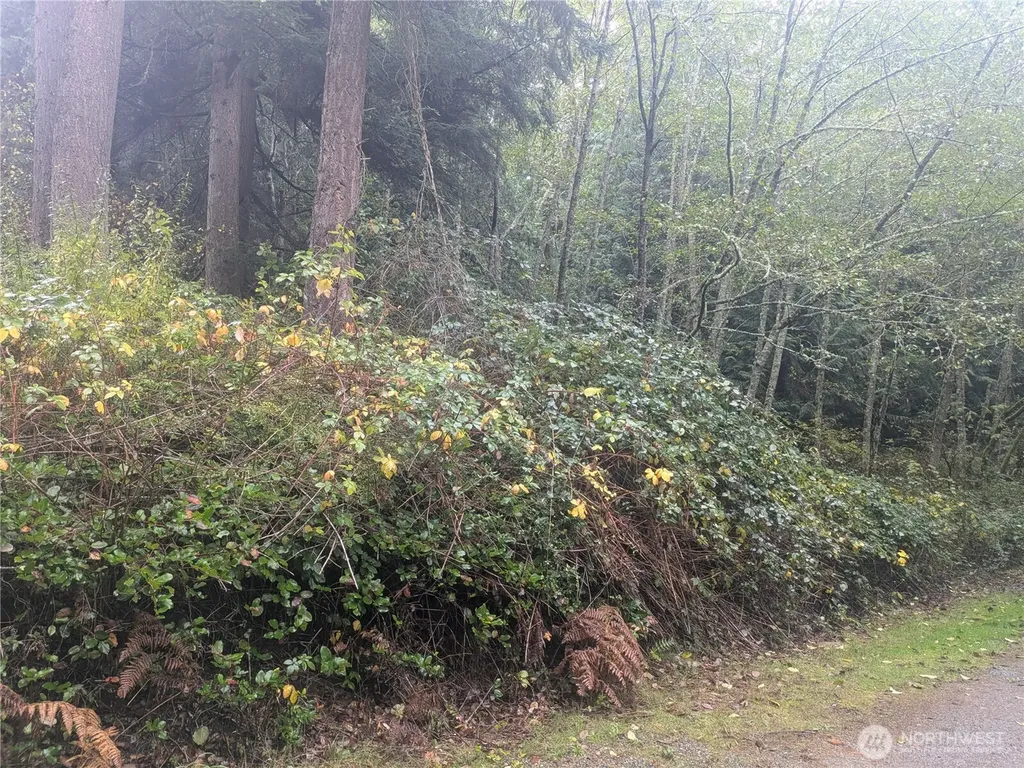 0 Jewett Road Clinton WA 98236