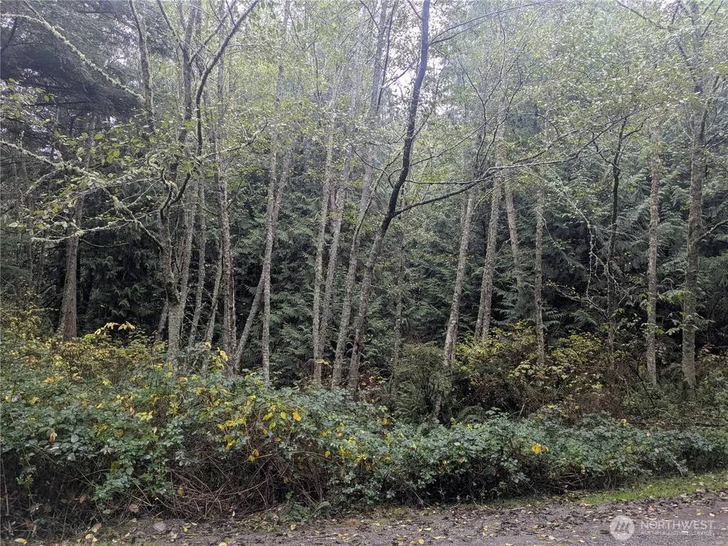 0 Jewett Road Clinton WA 98236