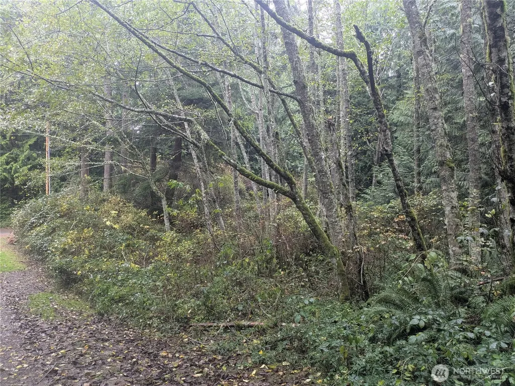 0 Jewett Road Clinton WA 98236