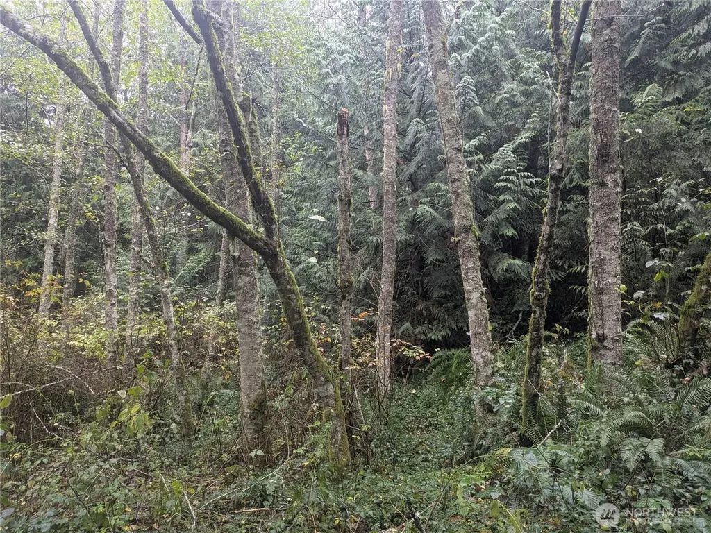 0 Jewett Road Clinton WA 98236