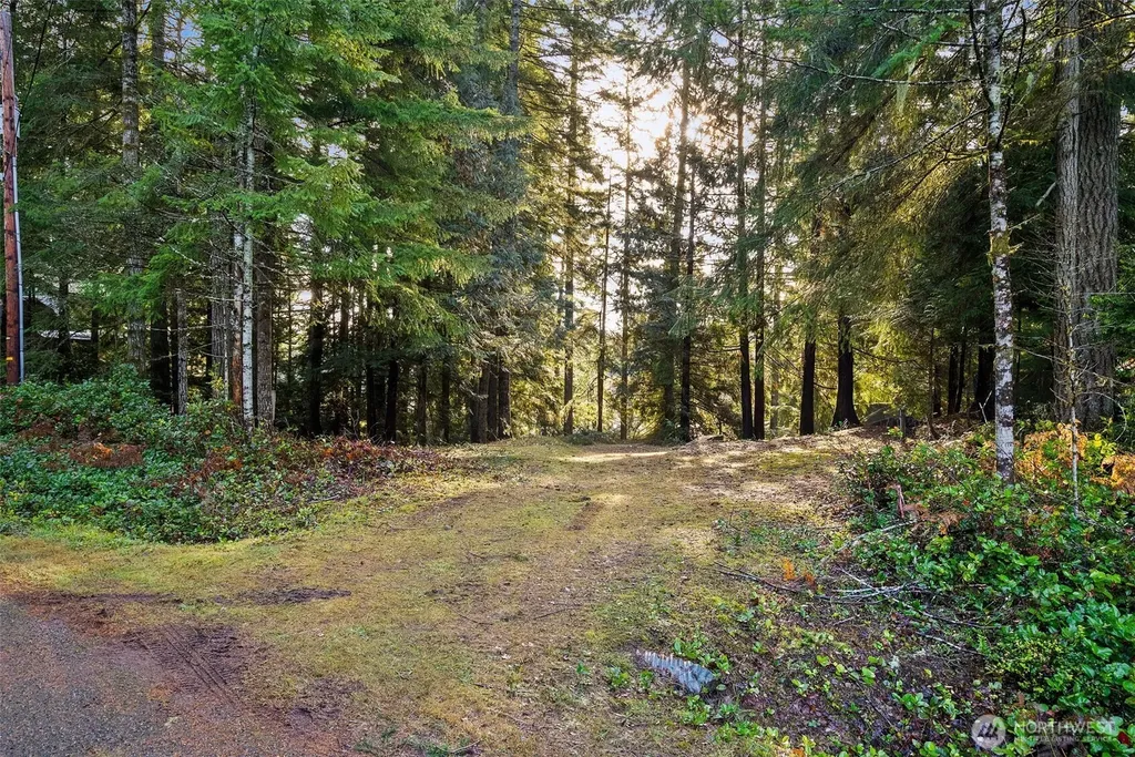 30 E Tahuya Drive Shelton WA 98584