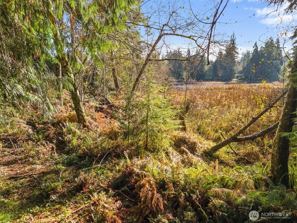 30 E Tahuya Drive Shelton WA 98584