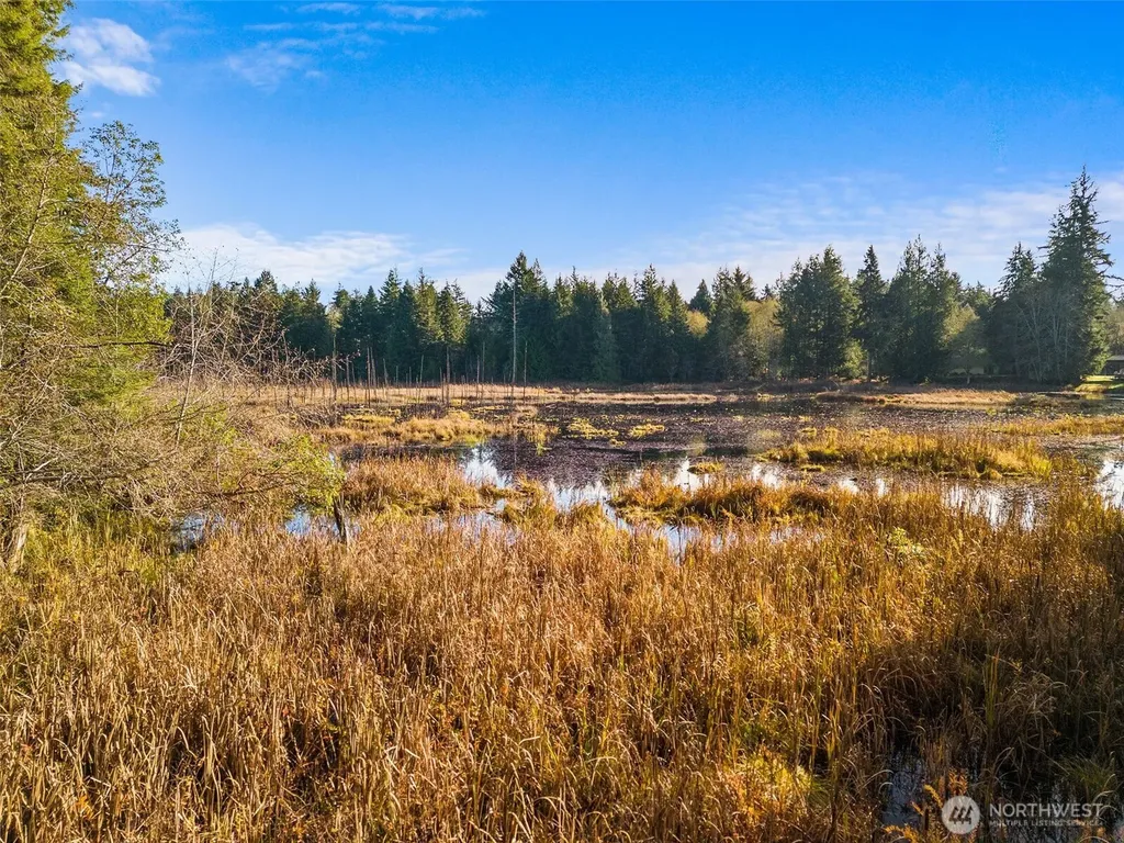 30 E Tahuya Drive Shelton WA 98584