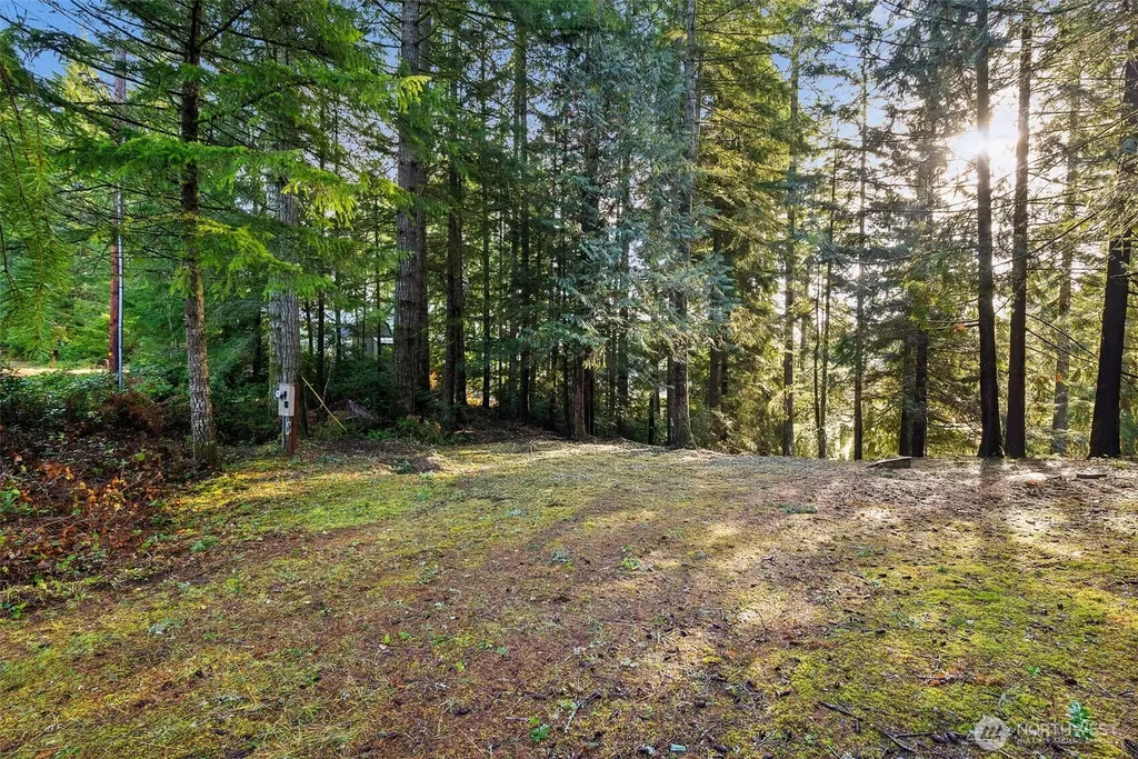 30 E Tahuya Drive Shelton WA 98584