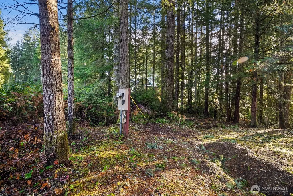 30 E Tahuya Drive Shelton WA 98584