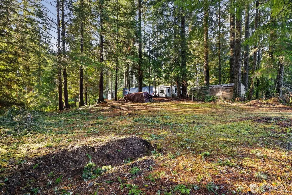30 E Tahuya Drive Shelton WA 98584