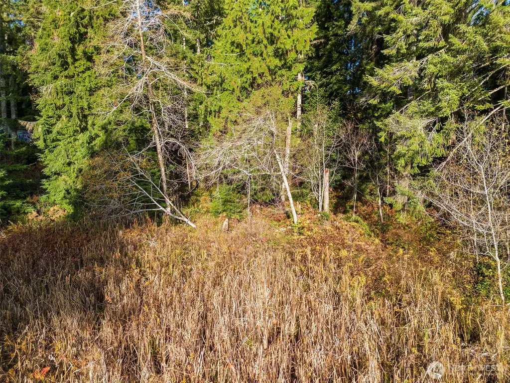 30 E Tahuya Drive Shelton WA 98584