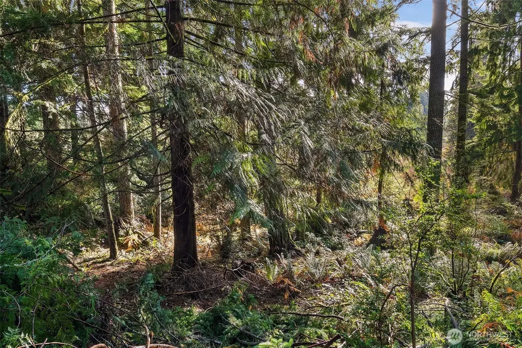 30 E Tahuya Drive Shelton WA 98584